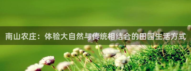 天辰娱乐网