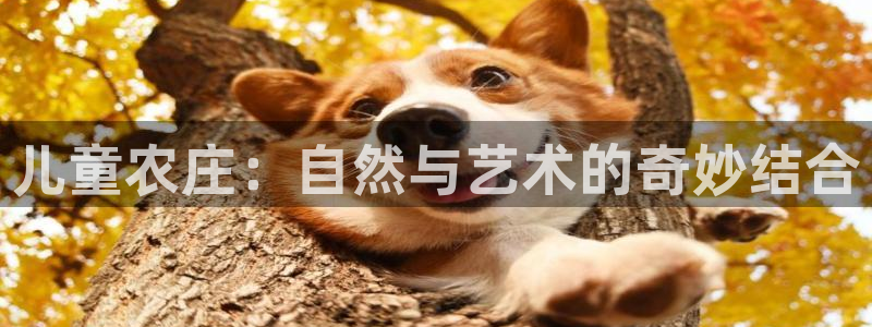 天辰娱乐棋牌