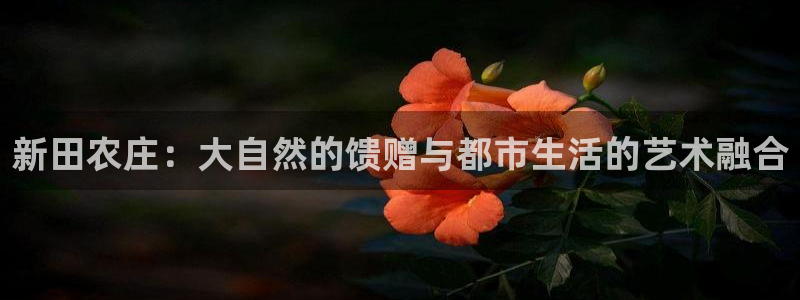 广东天辰娱乐