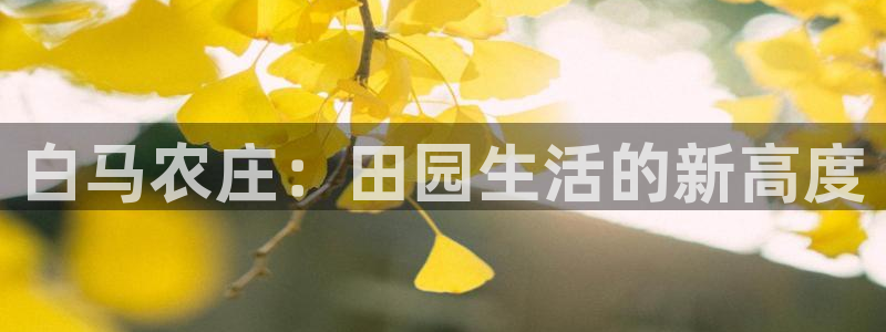 天辰宝宝娱乐