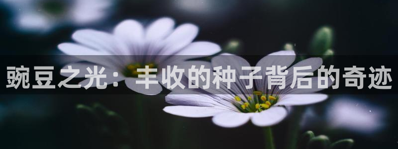 天辰娱乐赌博