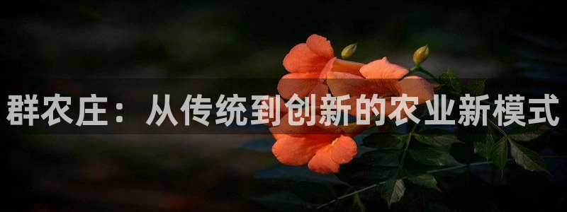 天辰娱乐娱乐