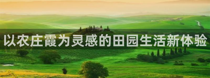 天富娱乐天辰娱乐