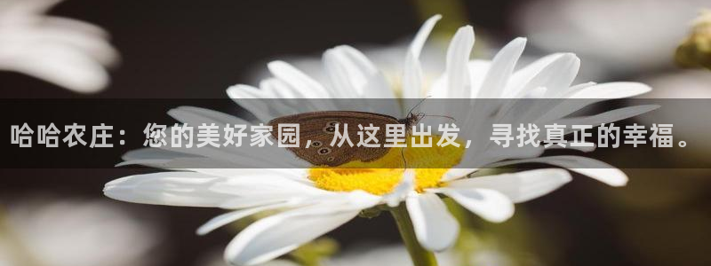 腾讯天辰娱乐