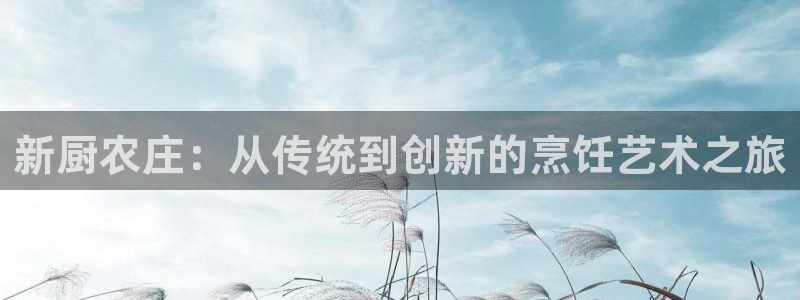 天辰娱乐待遇