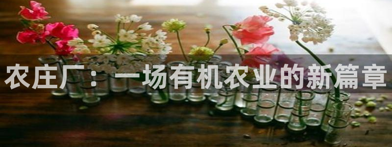天辰娱乐481928