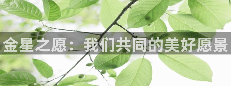 天辰天辰娱乐