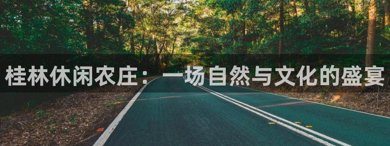 南京天辰娱乐