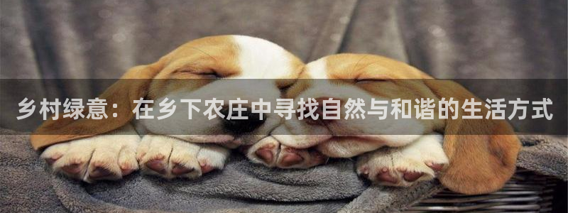 北京天辰娱乐