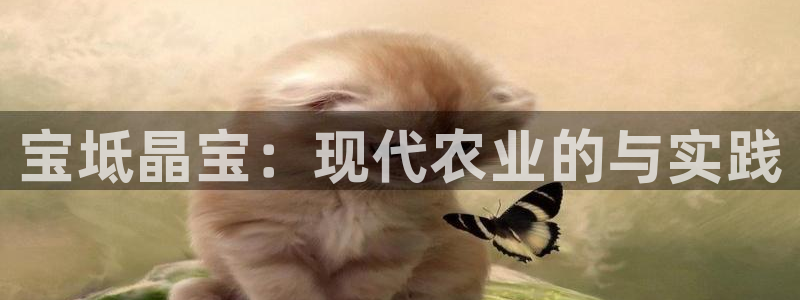 天辰娱乐待遇