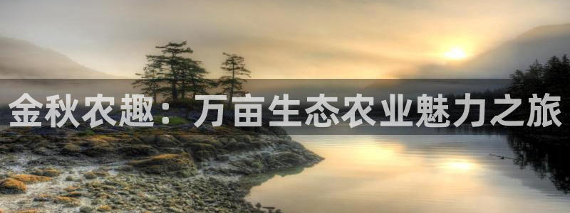 天辰娱乐 首选