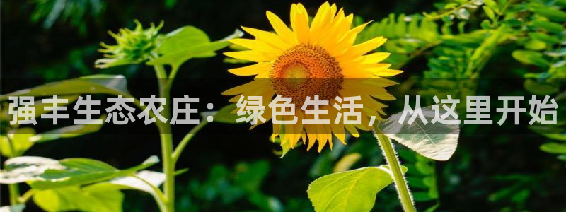 天辰娱乐开户