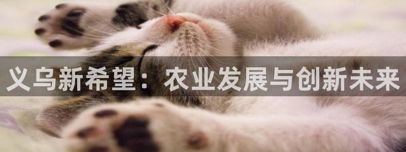 天辰娱乐新