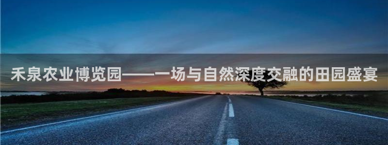 天辰娱乐招商