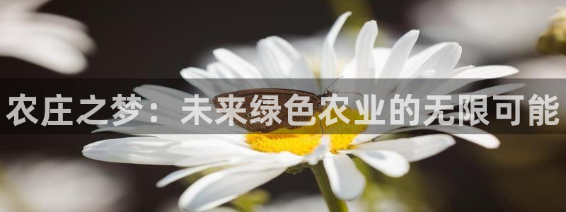 天辰娱乐平台app下载