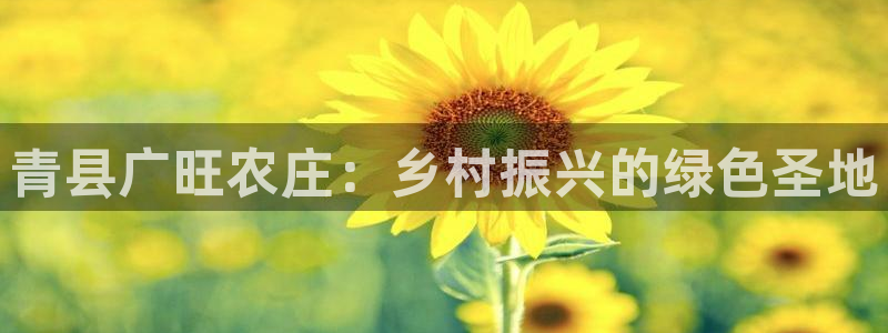天辰娱乐39974神