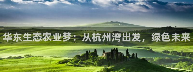 天辰娱乐 . 鱼刺