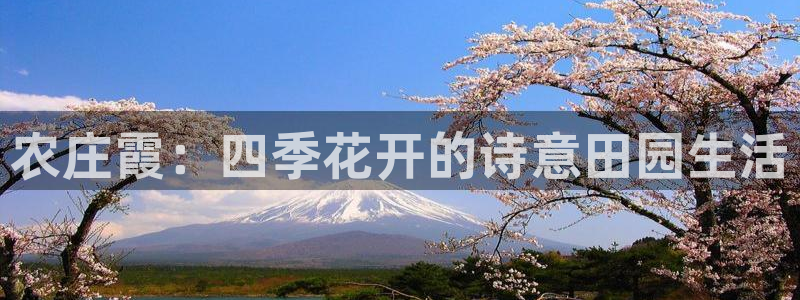 天辰娱乐游戏