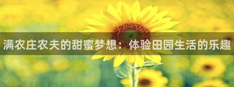 天辰娱乐股票