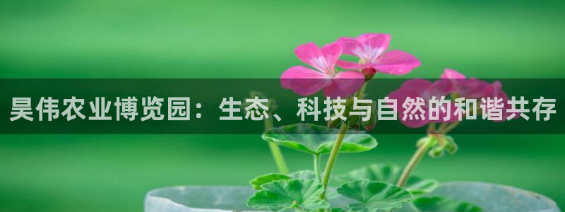 天辰娱乐557696
