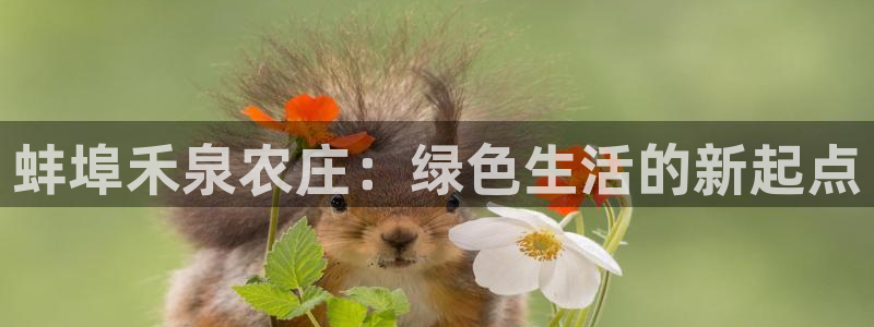 天辰娱乐官网