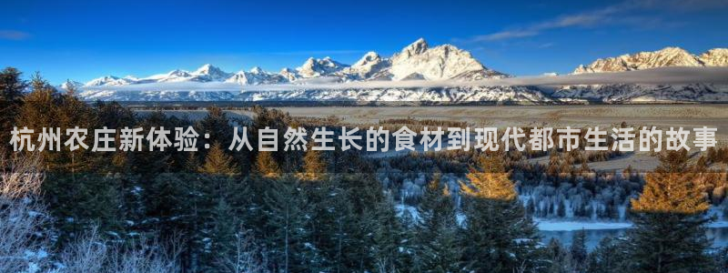 天辰平台娱乐
