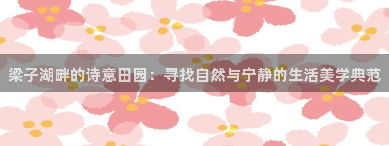 天辰娱乐开户