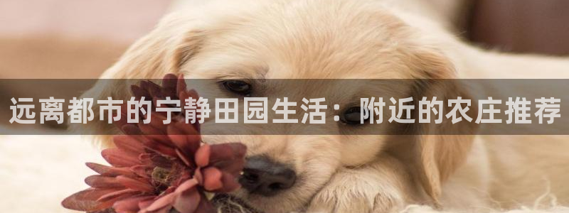 天辰娱乐在线