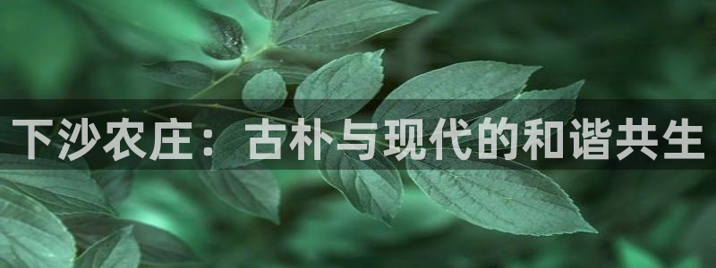 天辰娱乐指定