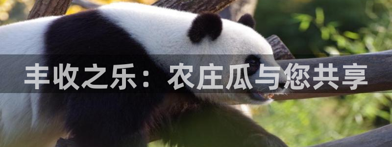 天辰娱乐网