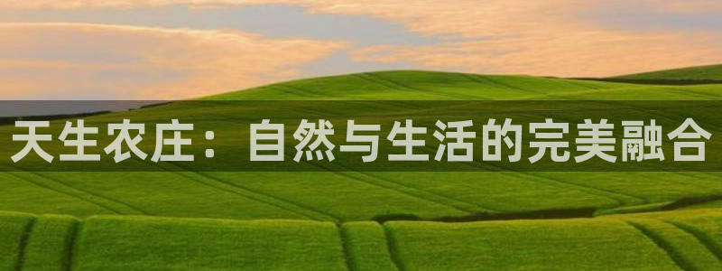 天辰娱乐地址