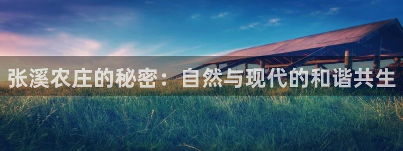 天辰娱乐平台app下载
