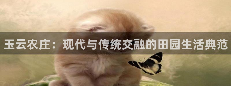 天辰娱乐反水