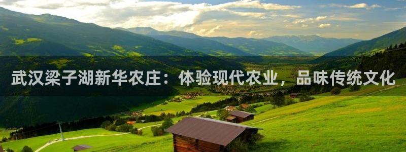 天辰娱乐棋牌