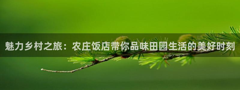天辰娱乐登陆