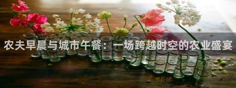 天辰娱乐招商