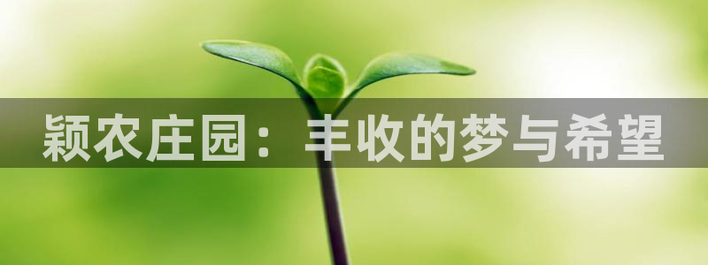 天辰娱乐登录网址