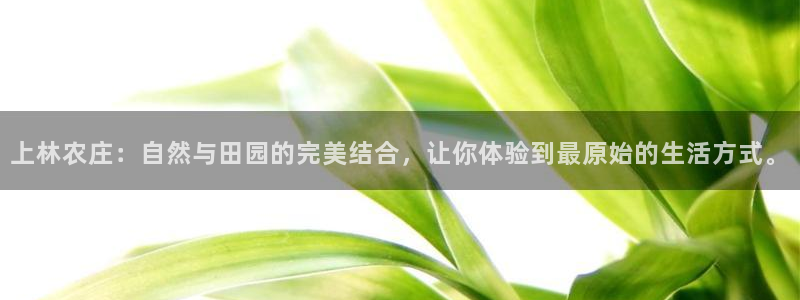 天辰娱乐 39974