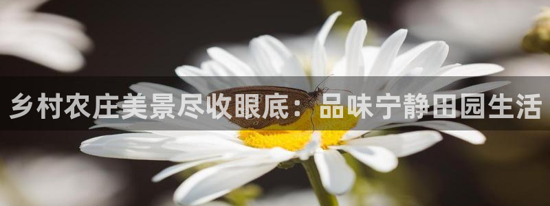 天辰娱乐728567