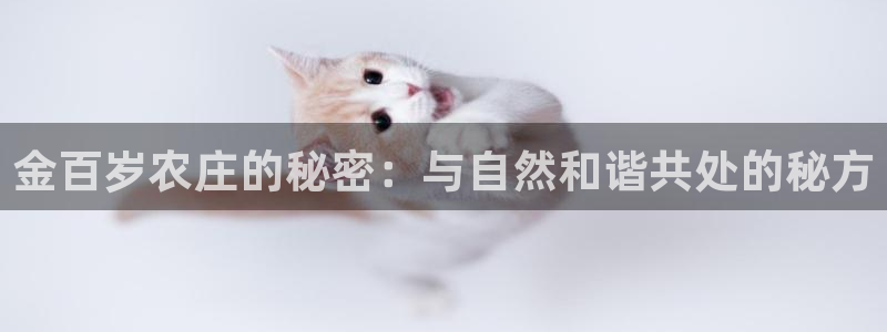 天辰天辰娱乐