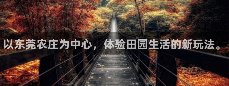 天辰娱乐下载链接