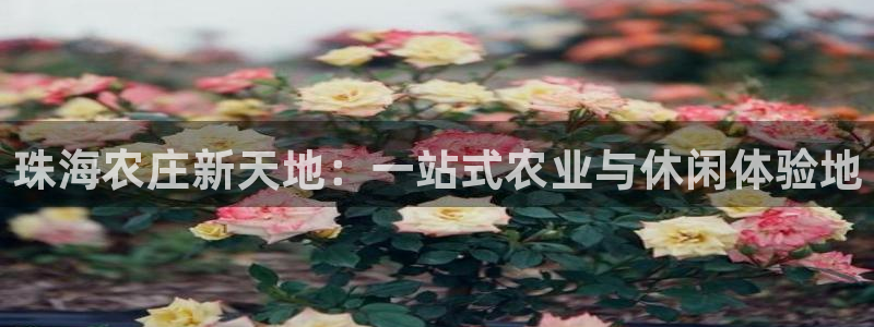 天辰娱乐-q