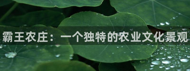 天辰娱乐 天辰平台