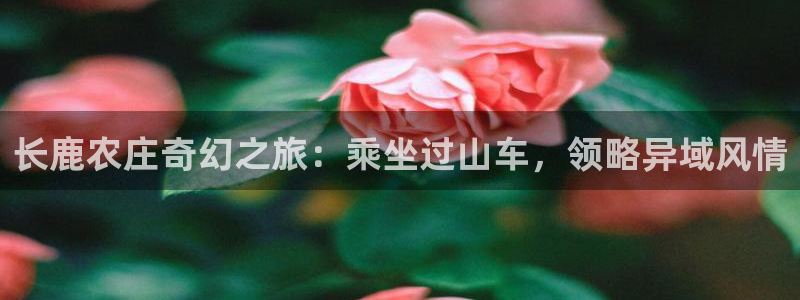 天辰登陆娱乐