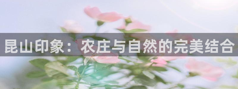 天辰娱乐白屏