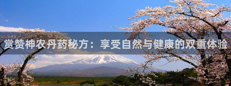 娱乐ktv天辰