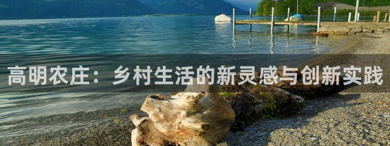 天辰娱乐海洋