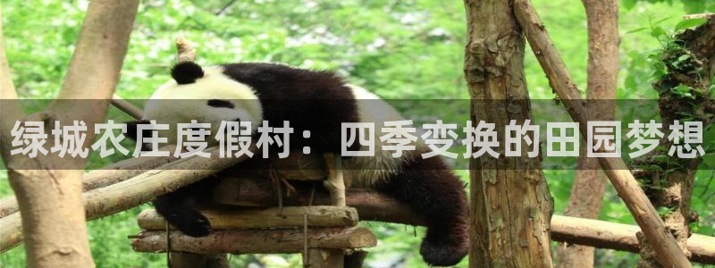 天辰娱乐登录测试