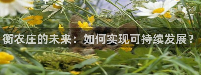 天辰娱乐登陆平台