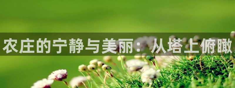 天辰娱乐娱乐平台